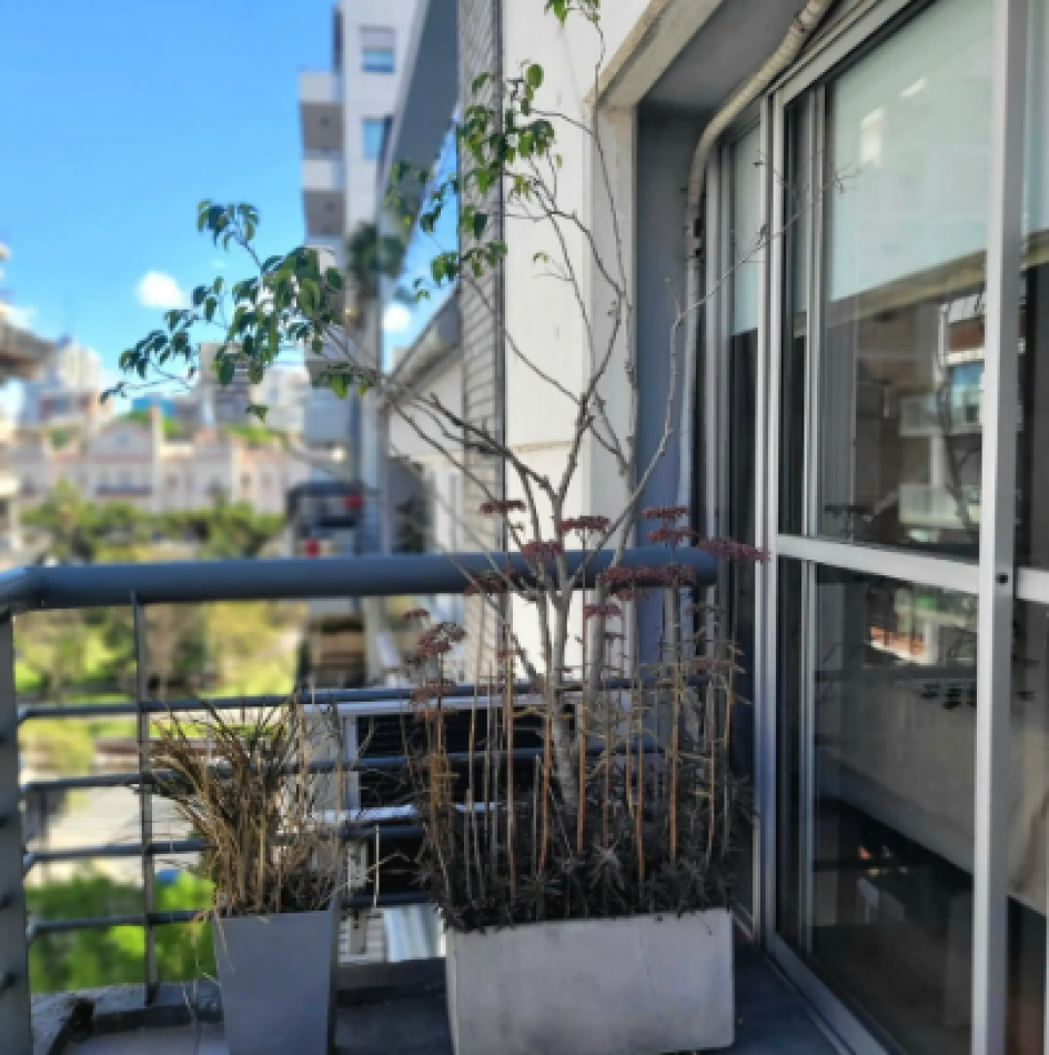 Alquiler Temporario 3 Ambientes, Republica de Eslovenia 1900, Palermo