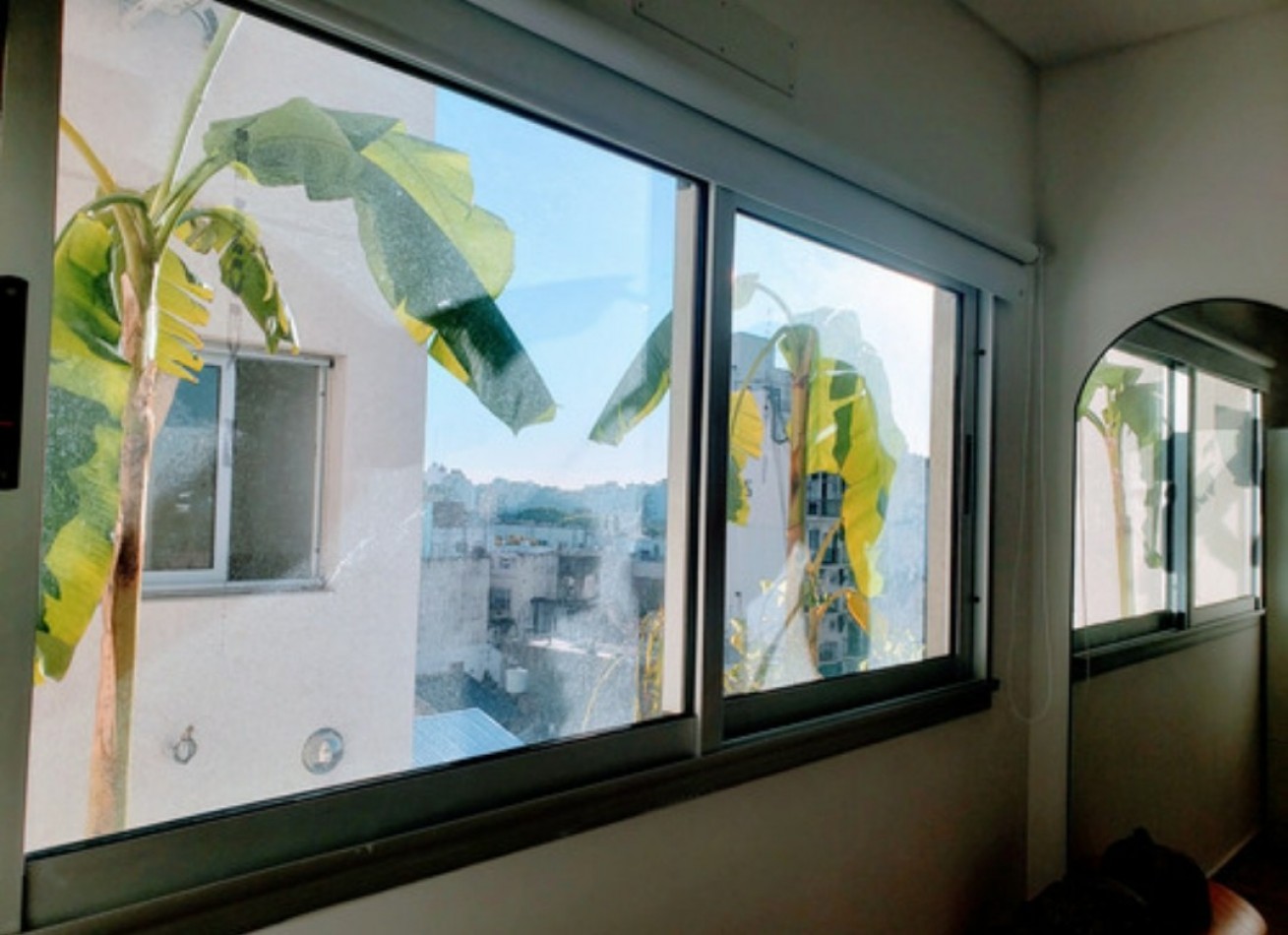 Alquiler Temporario Monoambiente Dividido, Fragata Sarmiento 1600, 3, Caballito Norte